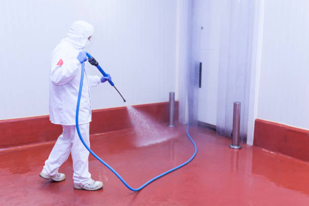 Best Building Exterior Pressure Washing in Holmes Beach, FL